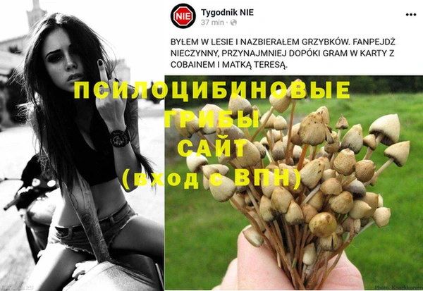 МДМА Алзамай