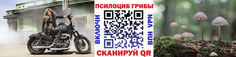 Галлюциногенные грибы прущие грибы  shop телеграм  Мантурово 